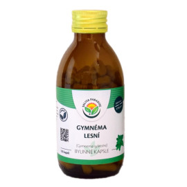 Kapsułki leśne Gymnéma 120 pkt