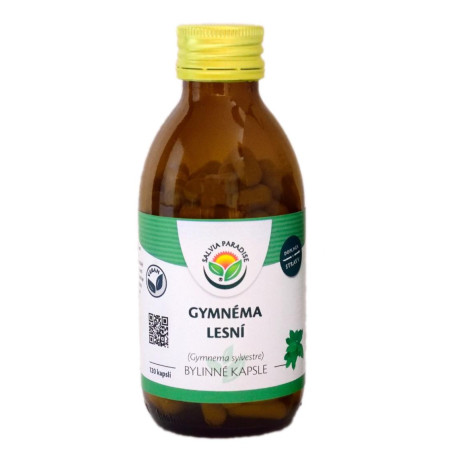 Kapsułki leśne Gymnéma 120 pkt