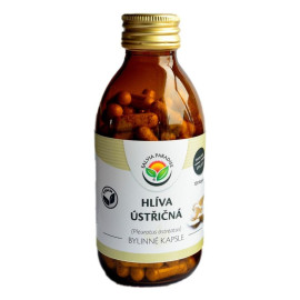 Kapsułka z boczniakiem 120 pcs