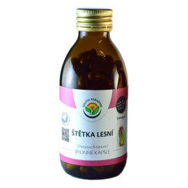 Forest Capsule Brush 120 sztuk