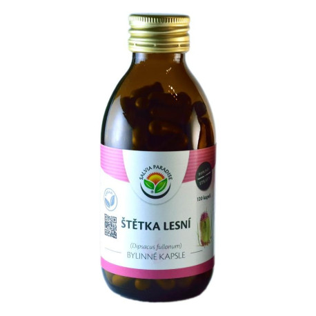 Forest Capsule Brush 120 sztuk