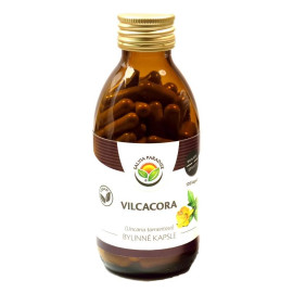 Vilcacora - Uncaria tomentosa kapsułki 120 sztuk