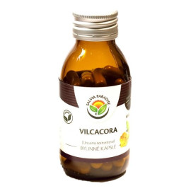 Vilcacora - kapsułki Uncaria tomentosa, 60 części