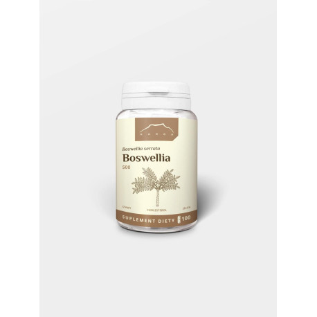 Boswellia 100 kapsułek x 500 mg - 100