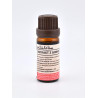 Ekstrakt z ginkgo biloba w płynie - 30ml