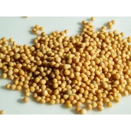 Gorczyca biała - Sinapis alba - 1kg całość