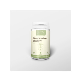 Dwuwinian choliny 100 kapsułek x 500 mg - 100