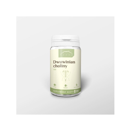 Dwuwinian choliny 100 kapsułek x 500 mg - 100