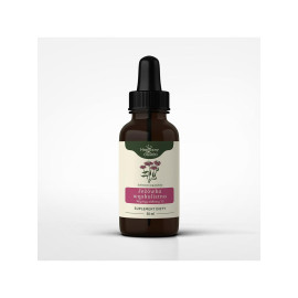Echinacea angustifolia nalewka 1:1 50 ml - 50 ml