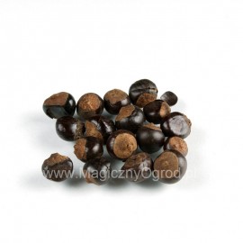 Nasiona guarany - Paulinia cupana - 100g całość