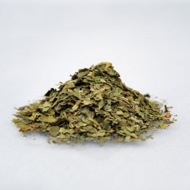 Liść Gurmar - Gymnema sylvestre - 100g mielony