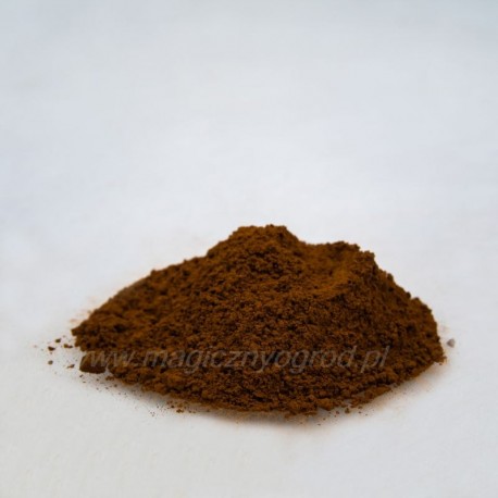Chaga - Inonotus obliquus - 100g mielonego