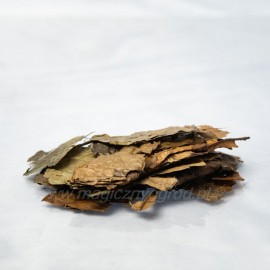 Liść ostrokrzewu guayusa - 250g w całości