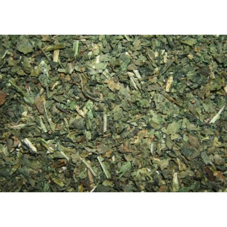 Isatis tinctoria - Isatis tinctoria - 250g posiekane