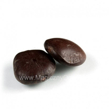 Ziele afrykańskiego snu - Entada rheedii - 21-25g nasiona