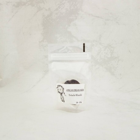 Ziele afrykańskiego snu - Entada rheedii - 16-20g nasiona