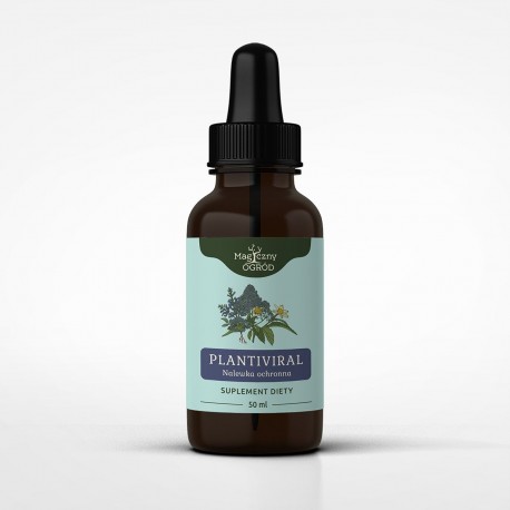 Plantivir - zestaw ziołowy wg Buhnera - ochronny - 50ml nalewki