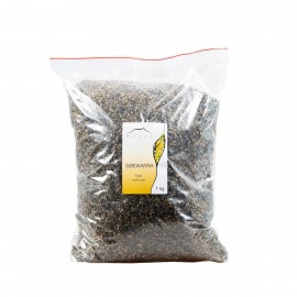 Dziewanna - Verbascum thapsiforme - 1kg