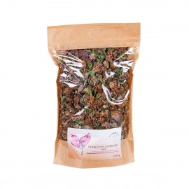 Kwiat koniczyny - Trifolium pratense - 100g całość