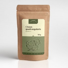 Ekstrakt z Cissus quadrangularis 4:1 - 50g