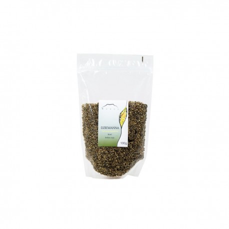 Dziewanna - Verbascum thapsiforme - 100g