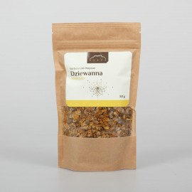 Dziewanna drobnokwiatowa - Verbascum thapsus - 50g
