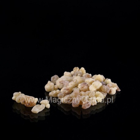 Olibanum Oman - Boswellia sacra - 500g