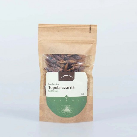 Topola - Populus nigra - 50g pąki