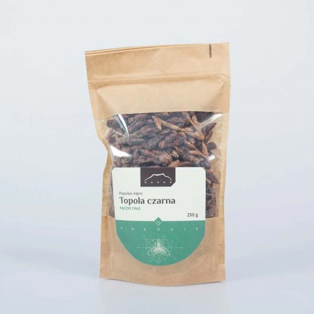 Topola - Populus nigra - 250g pąki