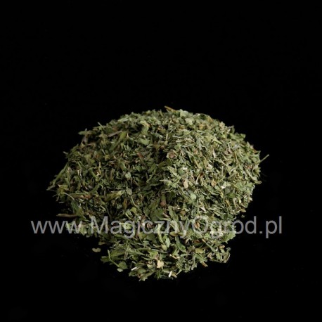 Liść lubczyku lekarskiego - Levisticum officinale - 100g posiekany