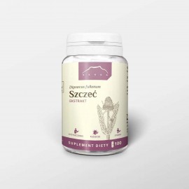 Szczotka leśna - ekstrakt w kapsułkach 500mg 100 kapsułek - Dipsacus fullonum