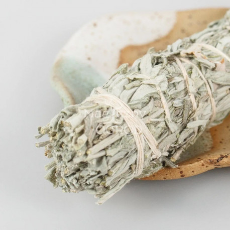 Pęczek piołunu mały - Artemisia ludoviciana