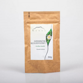 Korzeń złotowłosy bez ziół - Carlina acaulis - 50g mielony