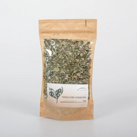 Przylaszczka syberyjska - Leonurus sibiricus - 50g posiekana