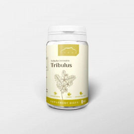 Tribulus 60 kapsułek x 500mg - Tribulus terrestris
