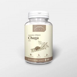 Chaga - Inonotus obliquus - ekstrakt (100 kapsułek x 300mg)