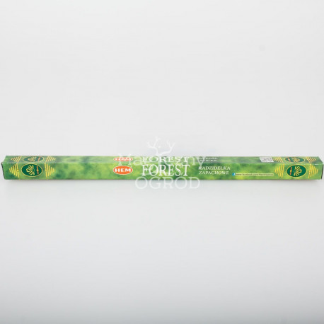 Kadzidełka leśne z długim rąbkiem