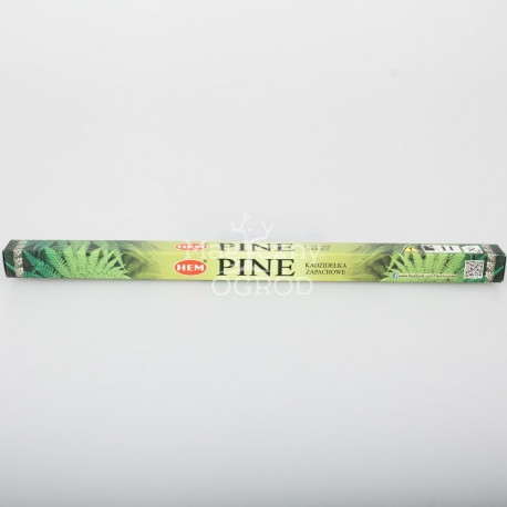 Kadzidełko sosnowe z długim obszyciem