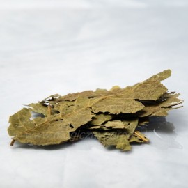 Liść orzecha włoskiego - Folium juglandis - 100g całość