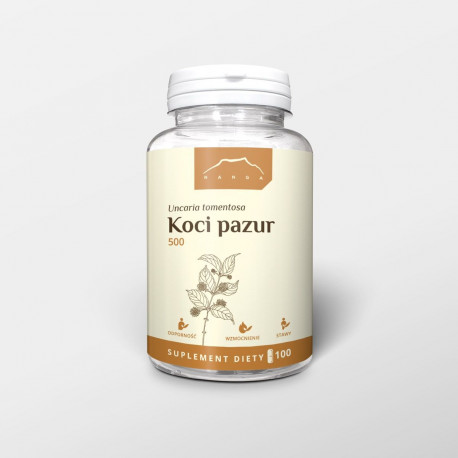 Koci pazur - Vilcacora 500 mg x 100 kapsułek - Uncaria tomentosa