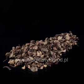 Korzeń pluskwicy groniastej - Cimicifuga racemosa - 250g mielony