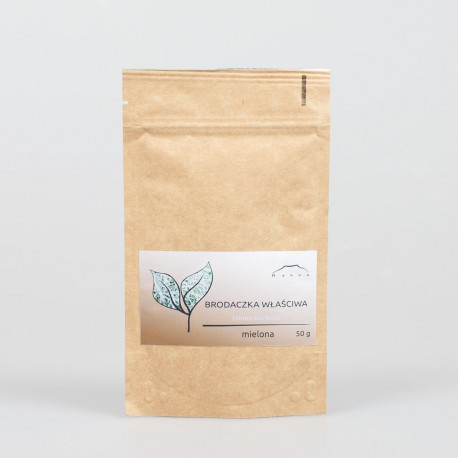 Usnea - brodaty - 50g cut