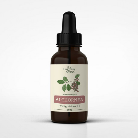 Alchornea cordifolia nalewka 1:1 - *250ml*