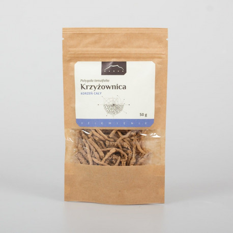 Polygala tenuifolia - 50g CAŁOŚĆ