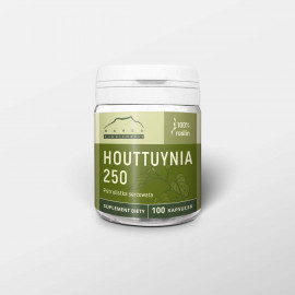 Houttuynia 100 kapsułek x 250 mg tabletki