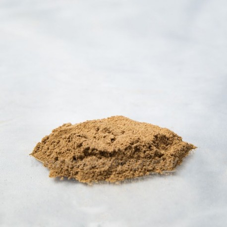 Reishi - Ganoderma lucidum - 50g mielonej