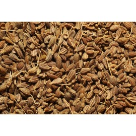 Anyż - Pimpinella anisum - 100g całość