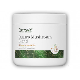 Mieszanka grzybowa Quatro 50g