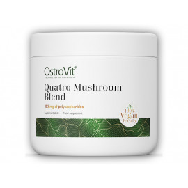 Quatro mieszanka grzybowa 100g
