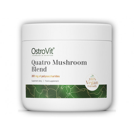Quatro mieszanka grzybowa 100g